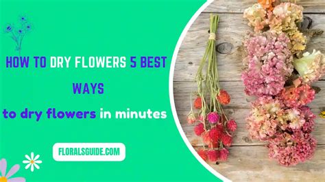 how to dry flowers quickly and the importance of choosing the right tools